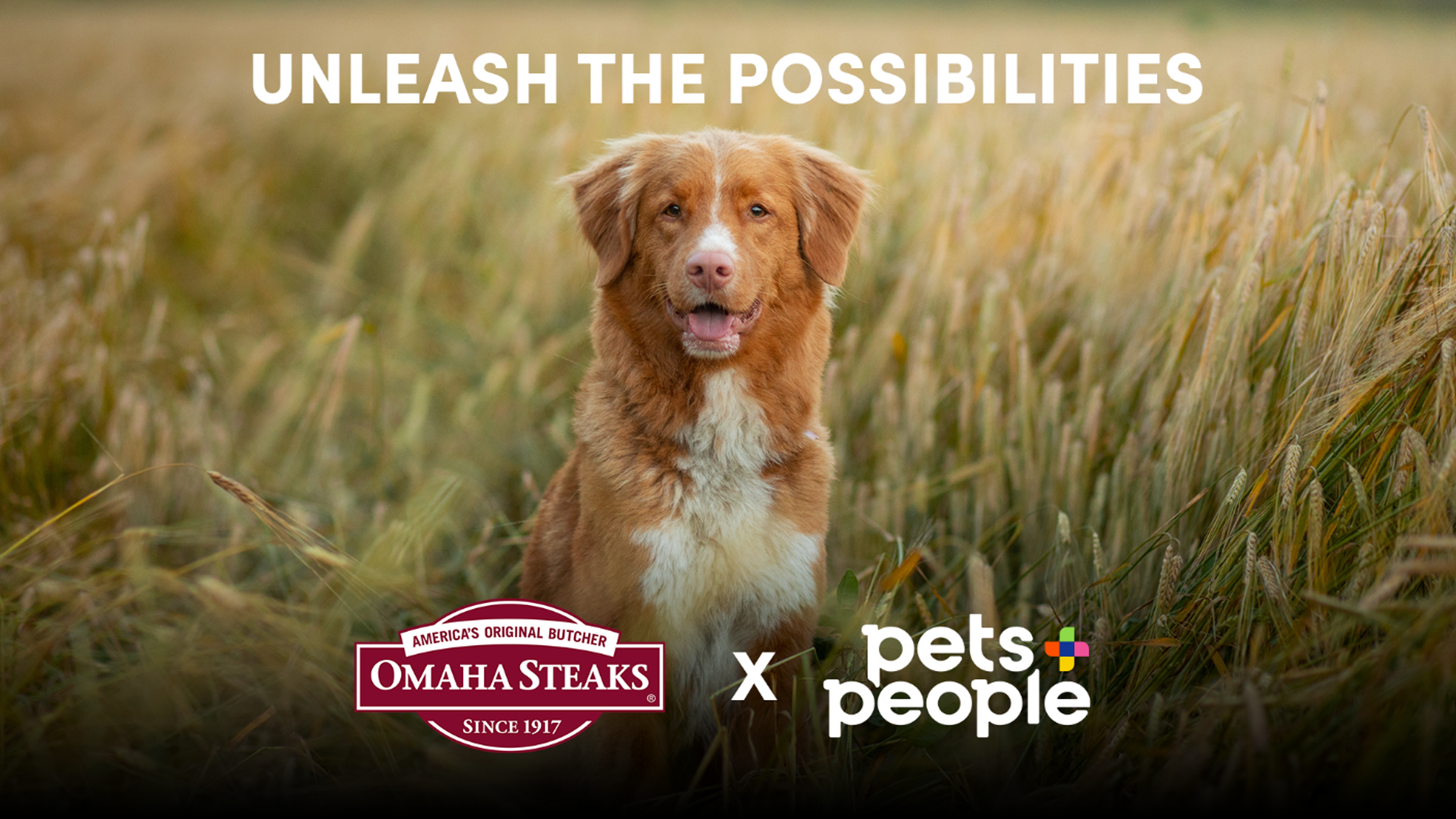 Omaha Steaks and Pets + People Partner on Premium Pet Treat Line